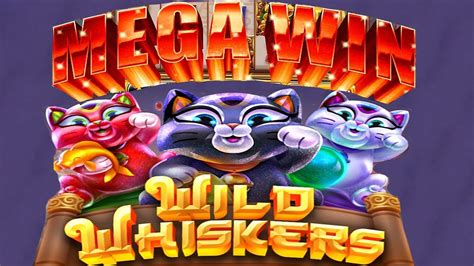 Whisker wins casino Haiti